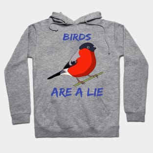 BIRDS ARE A LIE Hoodie